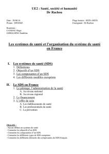 D1-UE2-Rachou-Les_systèmes_de_santé