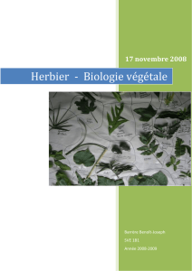 Herbier - Biologie végétale