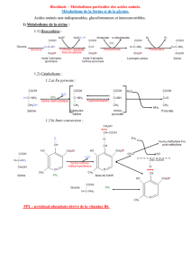 Biochimie – Métabolisme particulier des acides aminés