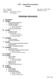 d1-ue5-nurbel-semiologie_chirurgicale-22-09-16