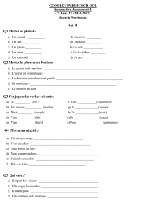 French Worksheet Set- B Q1 Mettez au pluriel