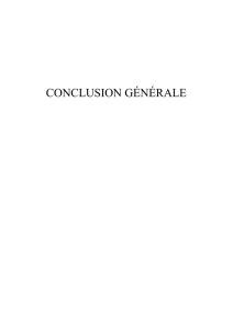 11-CONCLUSION GENERALE