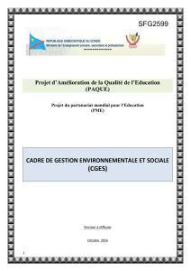 Annexe 3. Liste de contrôle environnemental et social