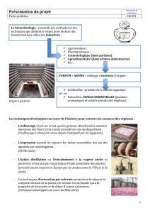 Document synthèse 1 : présentation (link is external)