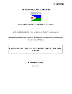 Annexe 2. Liste de contrôle environnemental et social