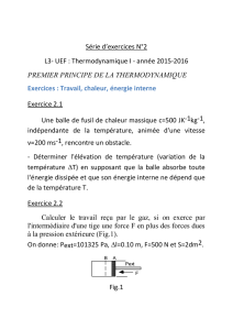 projet TD thermo I chapitre II 2015