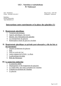 d1-ue3-nobecourt-interaction_nutriments_place_glucides_partie_1
