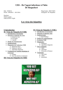 P2-UE8-Roquebert-Les_Virus_des_hépatites (word)