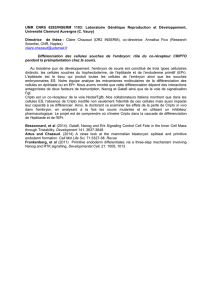 UMR CNRS 6293/INSERM 1103: Laboratoire Génétique
