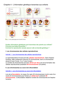 formation des cellules reproductrices