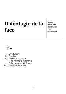 polycopie-osteologie-de-la-face