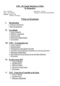 UE8-Roquebert-Virus et grossesse (word)