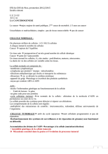 cancerogenese - ifsi du chu de nice 2012-2015
