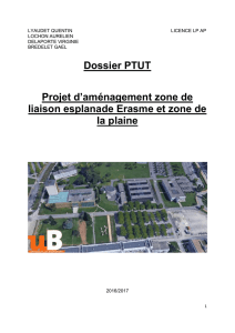 Dossier PTUT - IUT Dijon - Université de Bourgogne