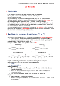 Synthèse des hormones thyroïdiennes (T3 et T4)