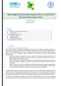 FAO ( vnd.openxmlformats-officedocument - IRD