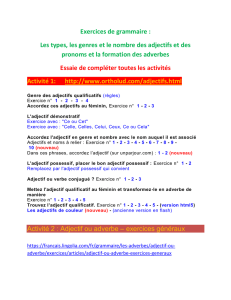 les adjectifs exercices