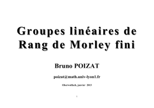 Groupes linéaires de Groupes linéaires de Rang de Morley fini