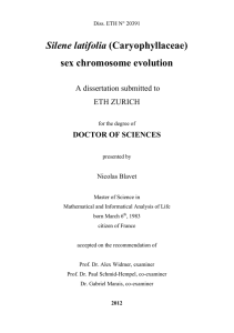 sex chromosome evolution - ETH E
