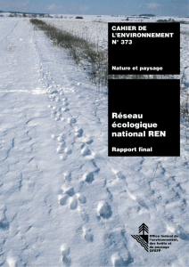 Réseau écologique national REN. Rapport final