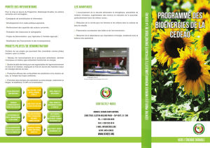 Programme des Bioenergies de la CEDEAO
