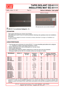MP-11-42-60-100 CEI-Notice pour Datamatrix