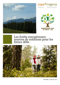 Les forêts européennes: sources de solutions pour - Copa