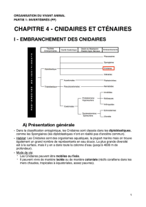 OVA - C4 - Cnidaires et Ct  naires PDF.c
