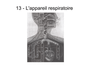 13 - L`appareil respiratoire