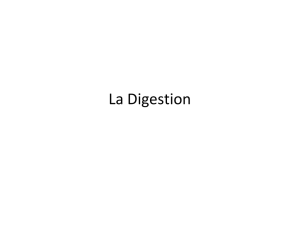 La Digestion - hrsbstaff.ednet.ns.ca