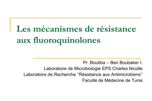 Les mécanismes de résistance aux fluoroquinolones