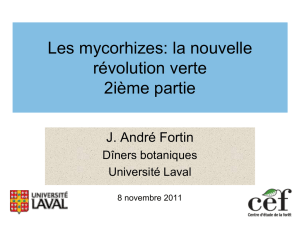 Diapositive 1 - Université Laval
