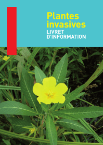 Plantes invasives - Ville de Bayonne