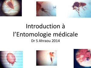Introduction à l`Entomologie médicale