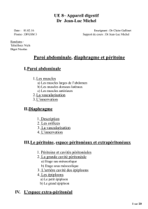 Paroi_abdominale_diaphragme_peritoine_PDF