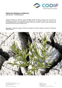 Fiche botanique - Codif Recherche et nature