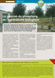 La gestion du phosphore et l`agriculture biologique - Capbio
