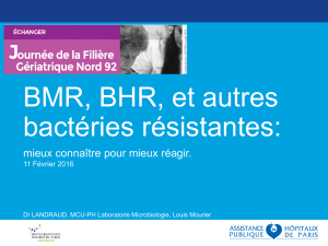 BMR, BHR et autres bactéries résistantes : mieux connaitre pour