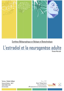 Neurogenèse adulte - Université de Rennes 1