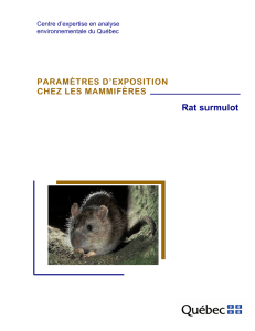 Paramètres d`exposition chez les mammifères – Rat surmulot