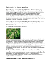 Lutte contre les plantes invasives - Saint Alban