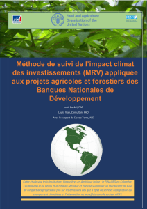 Méthode de suivi de l`impact climat des investissements (MRV)