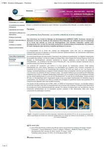 CNRS - Sciences biologiques - Parutions