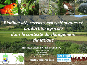 Biodiversité, services écosystémiques et