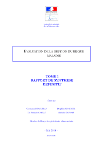 TOME 1 RAPPORT DE SYNTHESE DEFINITIF