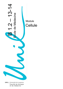 2013-2014 Cahier de module B1.2