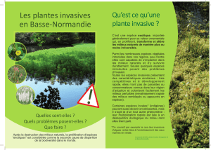 Les plantes invasives en Basse-Normandie - Gt-ibma