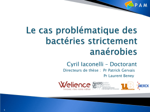 Cyril Iaconelli (UMR PAM) : Le cas problématique des bactéries