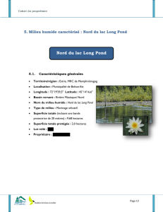 Milieu humide Nord du Lac Long Pond