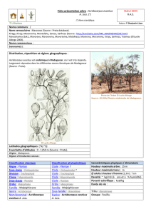Fiche présentation arbre : Acridocarpus excelsus A. Juss. (°) Statut